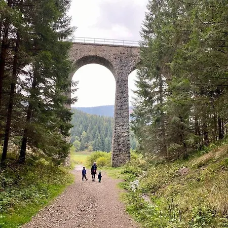 Drevenica Polomka - Nizke Tatry - 4 In 30 Min Alpesi faház *