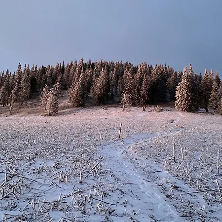 Alpesi faház Drevenica Polomka - Nizke Tatry - 4 In 30 Min *
